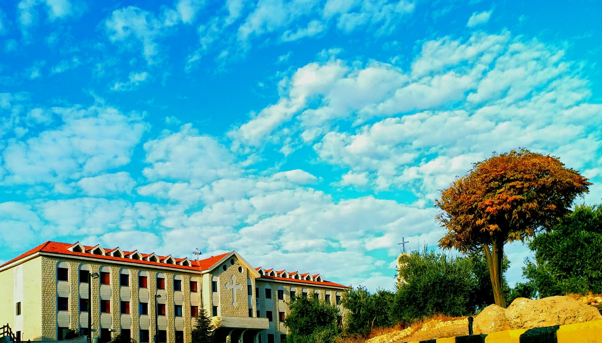 Mor Aphrem Seminary campus photo 8